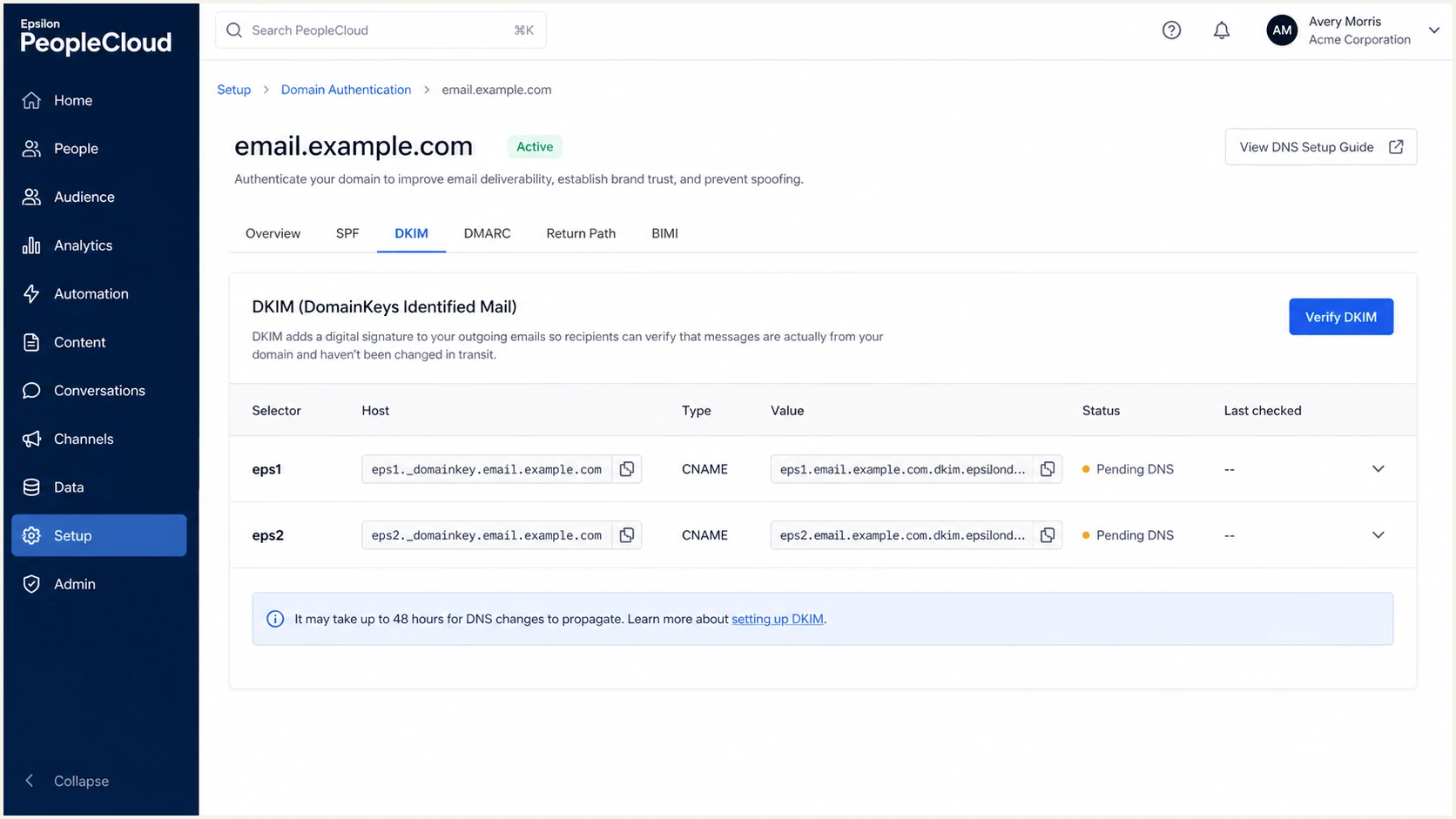 Epsilon DKIM selector records waiting for DNS verification.