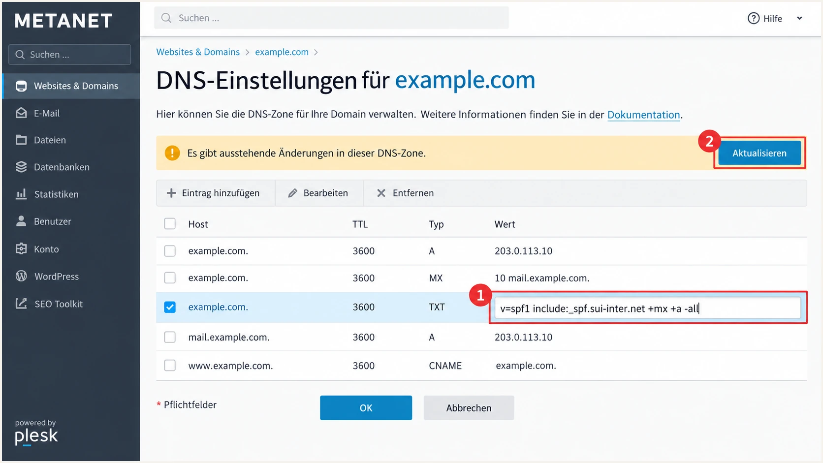 Illustrated METANET Plesk SPF record and pending DNS changes.