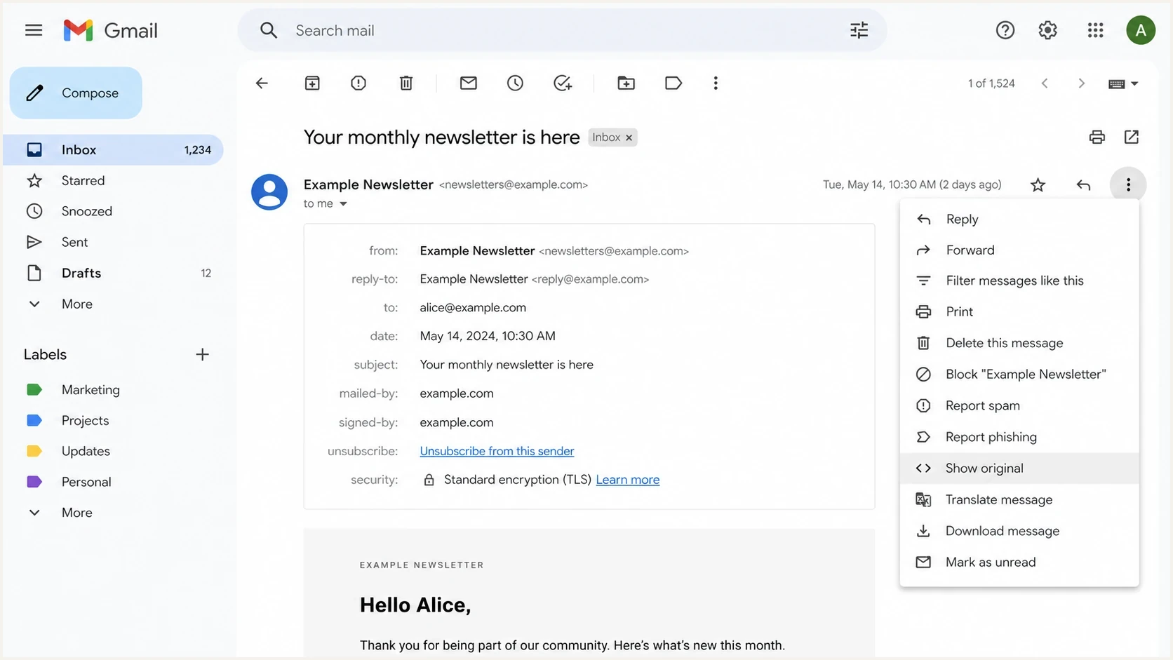 Gmail message menu showing where to open the original message source.