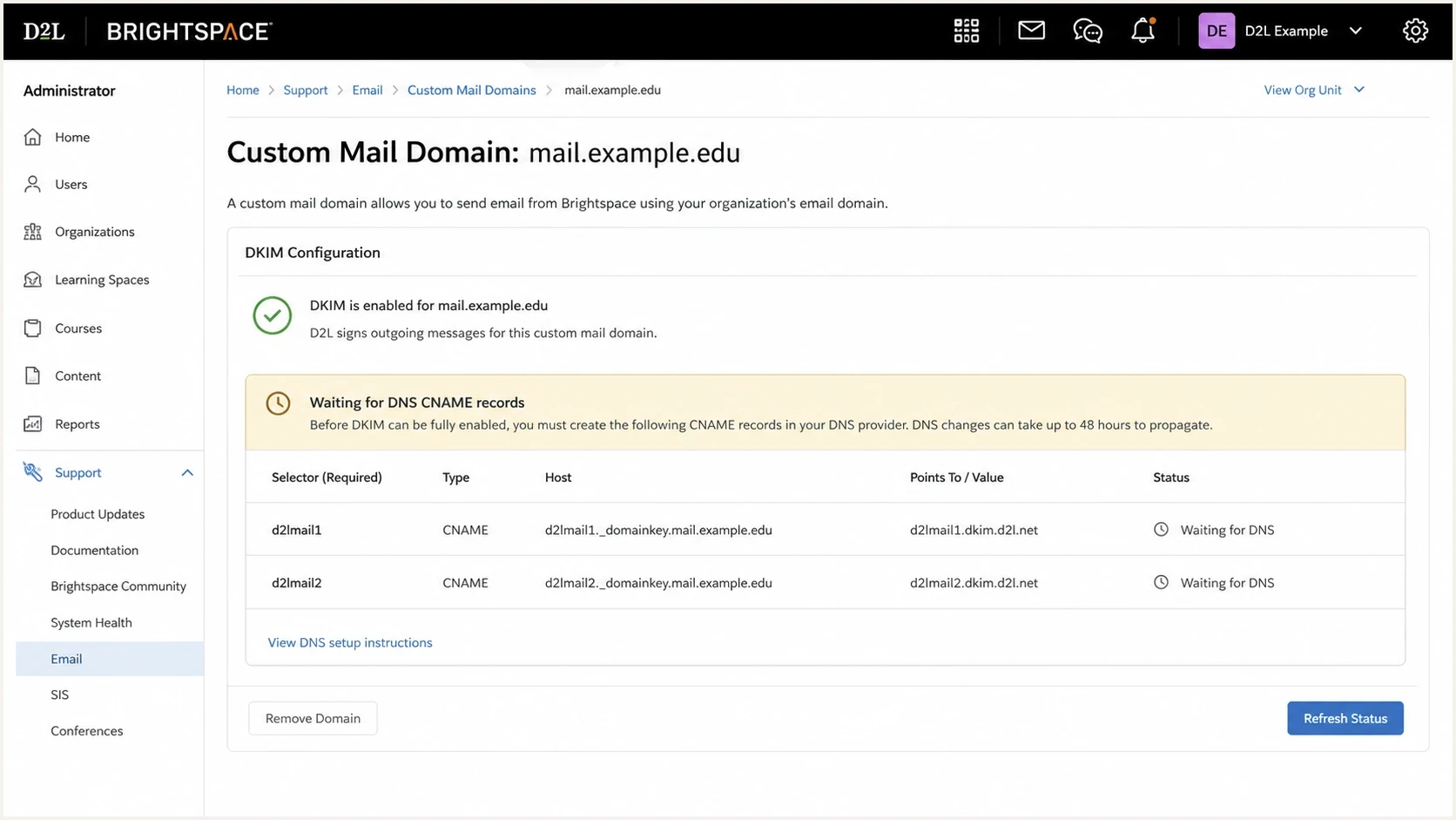 Brightspace custom mail domain screen showing two DKIM selectors.