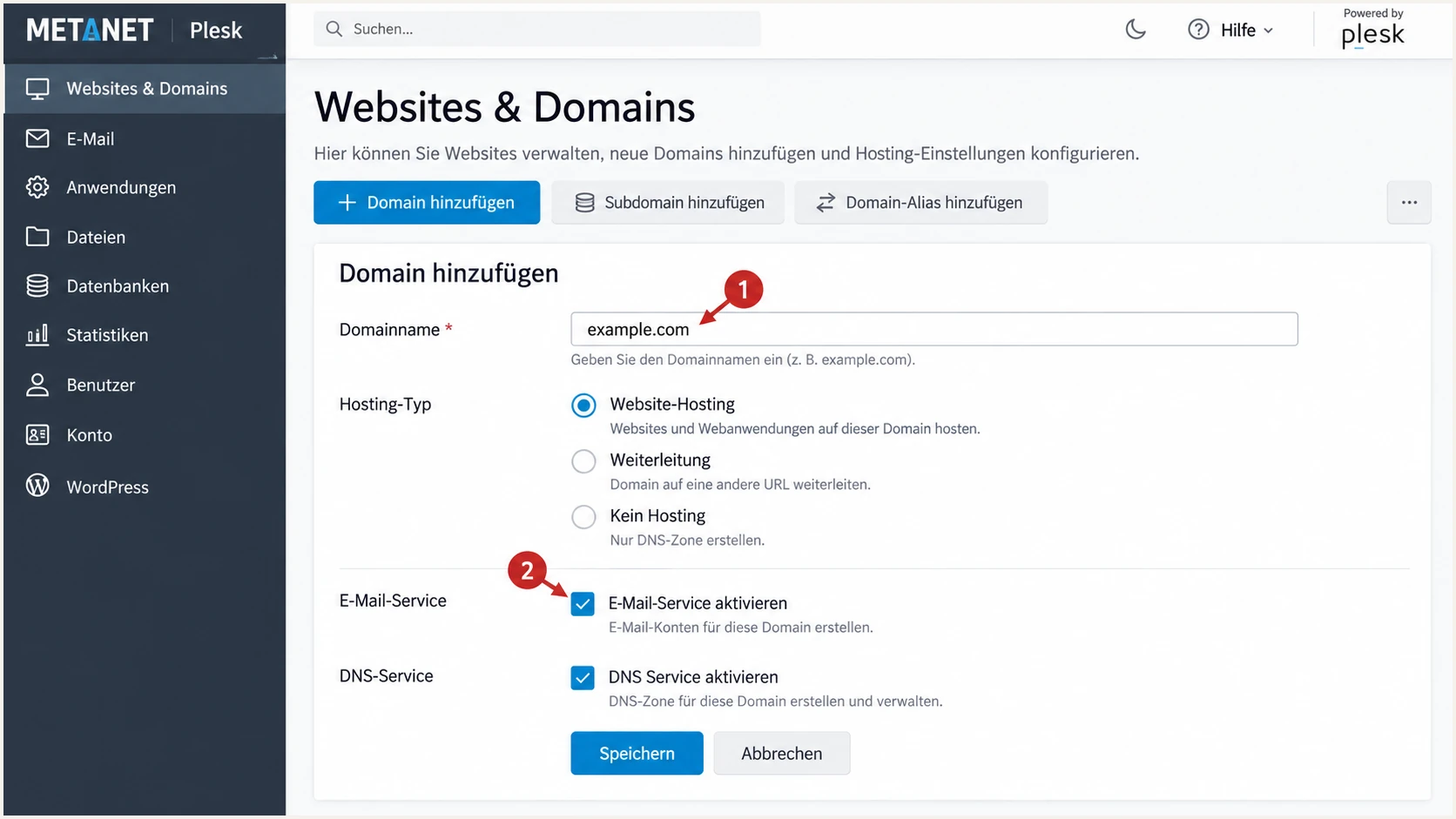 Illustrated METANET Plesk form for adding a domain and enabling mail.