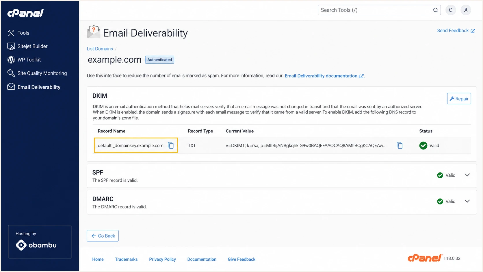 Obambu cPanel DKIM record name and public key fields