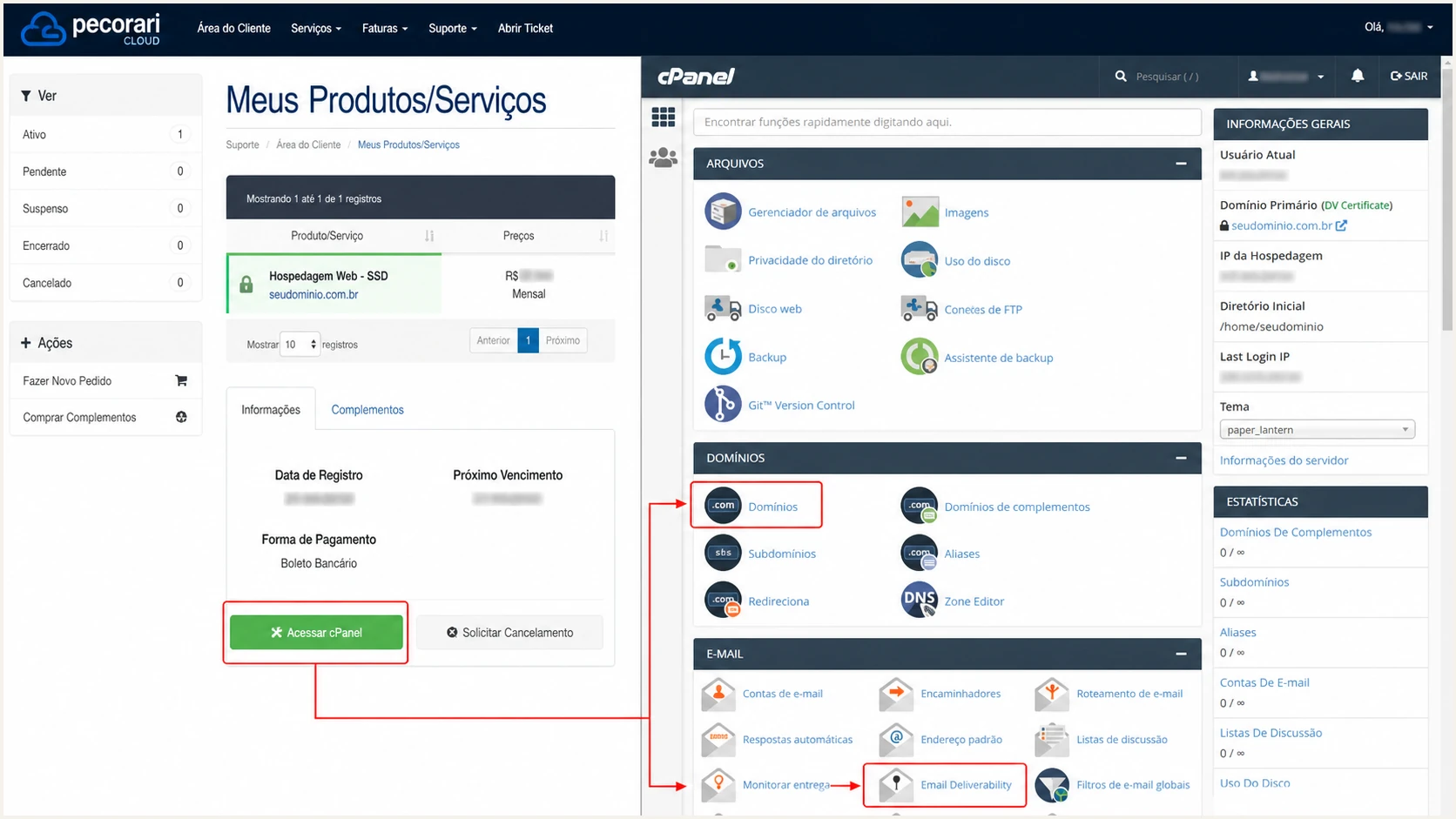 Pecorari Cloud hosting account with cPanel access highlighted