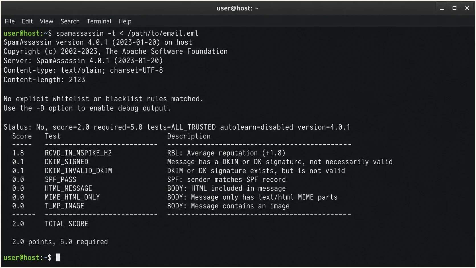 Apache SpamAssassin terminal output showing DKIM_SIGNED and DKIM_INVALID_DKIM rule hits.
