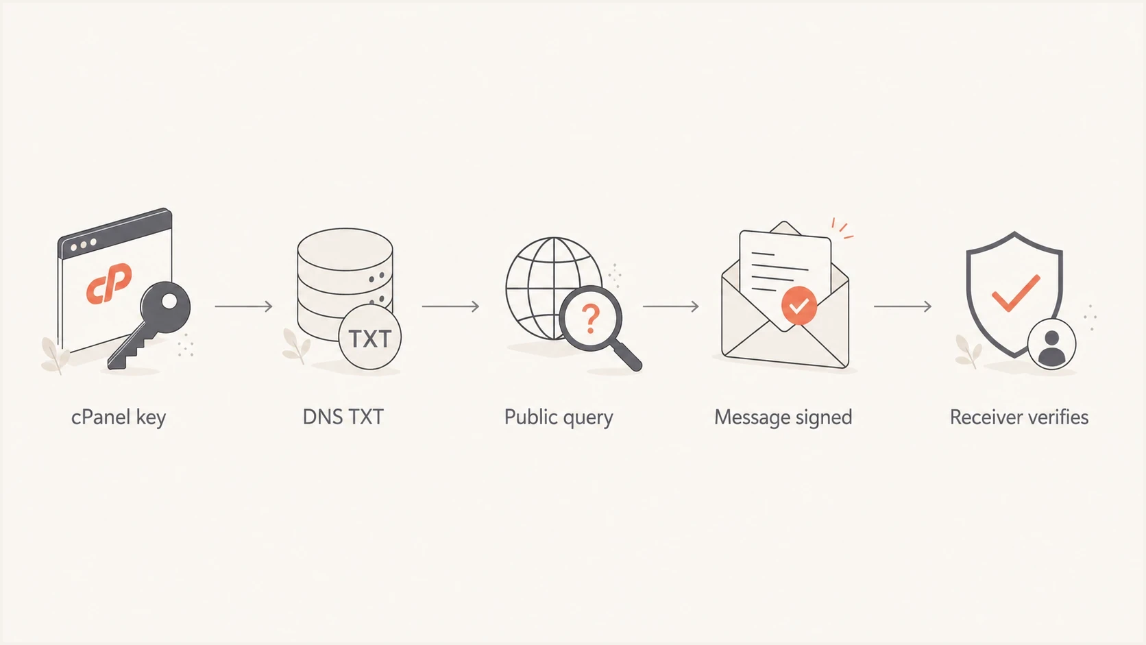 cPanel DKIM flow through DNS publication, message signing, and receiver verification.