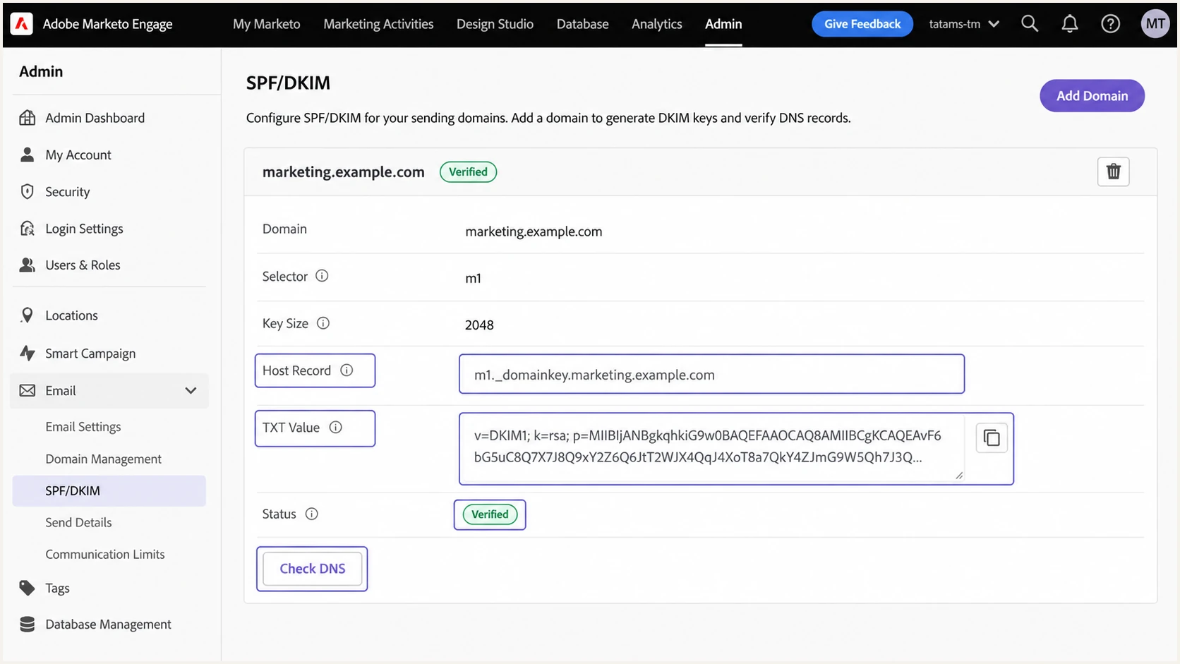 Adobe Marketo DKIM values and successful Check DNS status.