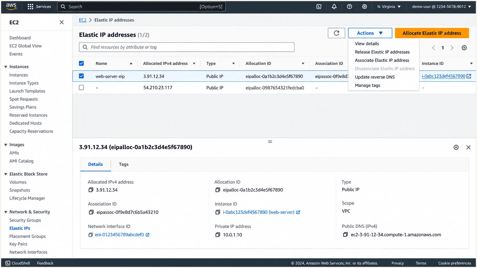 Amazon EC2 Elastic IP selected for a mail server