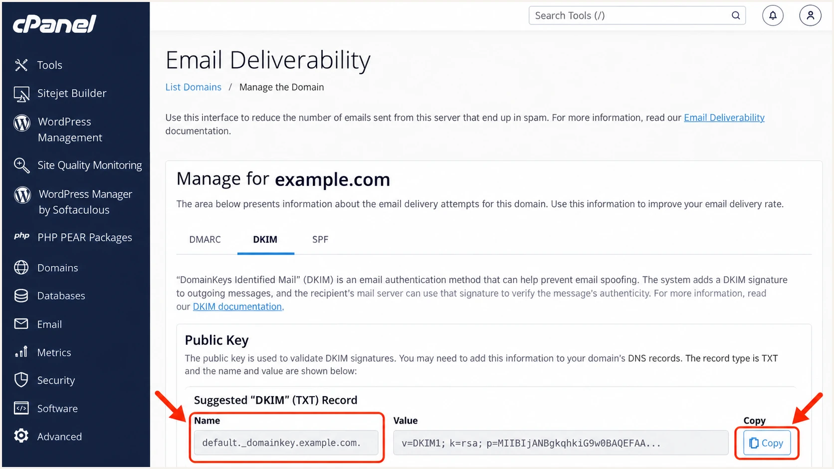 Illustration of copying a DKIM public record in XeonBD cPanel.